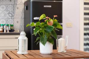 Il Chiassetto Cozy Apartment in Center town