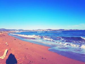 Studio climatisé avec piscine et parking à Saint-Aygulf - FR-1-226A-125