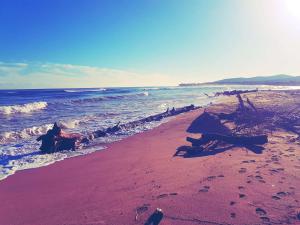Studio climatisé avec piscine et parking à Saint-Aygulf - FR-1-226A-125