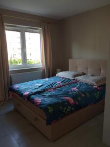 Złoty apartament Bokserska