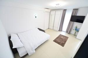 FLH - Blue and Pink Lagoon - Kogalniceanu