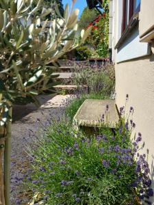 Bossell Cottage Devon
