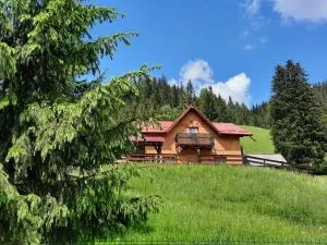 Casa Aurici Vatra Dornei - Dealu Floreni