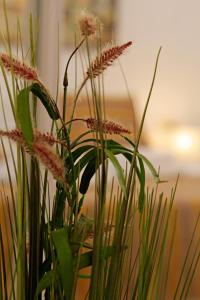 Modern 2-Bed Apt, Late check in available