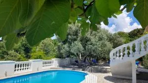 Villa Dedin - Kaplanovići