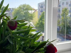 Square Side Apartment