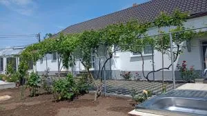 Casa Angy - 6 Martie