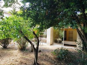 B&B / Chambres d'hotes MAS DES FIGUES - Mas XVIIIe tres calme - Certifie Biologique FRBio10 - jardin naturel ecologique - piscine 12x6 - Copieux brunch paysan mediterraneen cuisine du jardin huile d'olive - Agritourisme Alpilles Saint Remy de Provence du 01 mai au 30 septembre : photos des chambres
