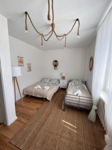 Apartament 2-pokojowy Gdańsk-Oliwa
