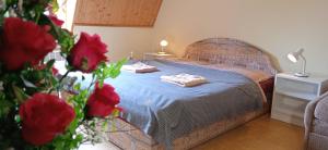 Apartmány Ledeč