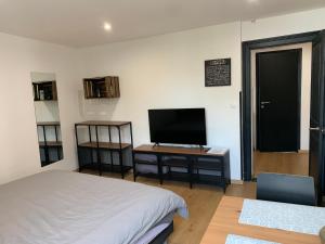 Appartements Au coeur de la ville : photos des chambres