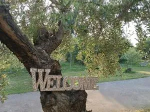 THE SECRET OLIVE HOUSE - 尼亚米卡尼奥纳