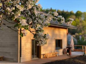 Chalets Chalet au coeur du Jura a 5min de la plage de Clairvaux : photos des chambres