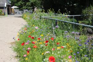 Tiny Cottage op Camping "De stal"