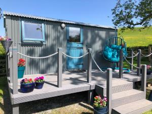 The Peacock Shepherds Hut at Hafoty Boeth