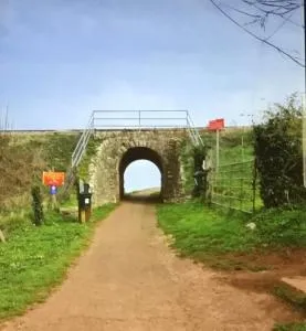 Rio Plot F - 古德瑞同