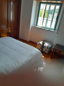 Beach,surf, hiking and more