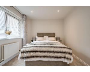 Central Belfast Apartments Windsor