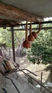 Усадьба Килба - 古达乌塔