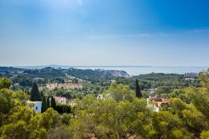 Big Villa Can Pedro in Palma de Mallorca