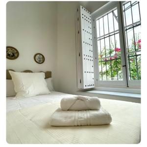 GATU PREMIUM Apartamento Palacio Oneto con Jardín Privado " Preferente mayores de 25 años y familias "