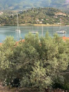 Aggeliki Homes paradosiako nisiotiko