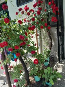 Hotel House On Zubalashvili