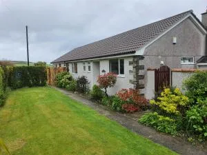 Brambles - Gorran Haven