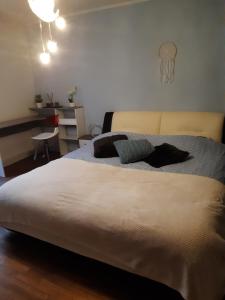 Petite location agréable et tranquille