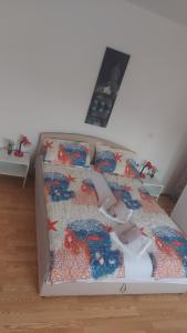 Apartman Sneky