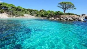 NOUVEL LOCATION d'un Bel appart T2 climatisé et meublé au RDCh avec piscine dans residence les Melody - Santa-Maria-Poggio