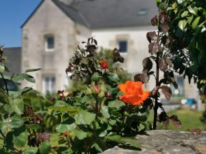 Maisons de vacances Les gites de L'hermine : Maison 2 Chambres