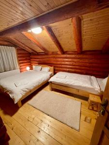 Cabana Ursu’ Zburator