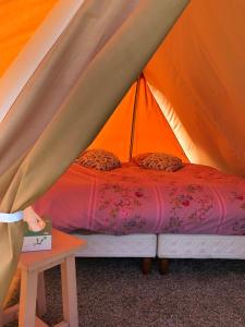 Tentes de luxe Tente bivouac Elevage Girbal : photos des chambres