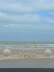 Appartements Face a la mer, appartement RDC Bray dunes : photos des chambres