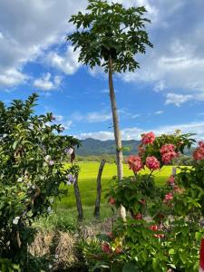 Hacienda Villa Liria