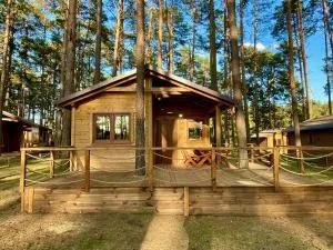 Domek w Borsku - 韦茨泽基斯韦斯基