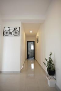 Apartmani Ive