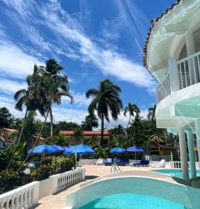 Palms Lounge Cabarete