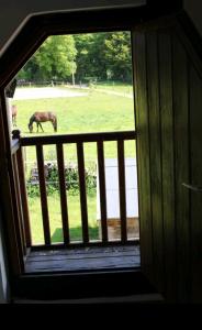 Maisons de vacances Gite ecurie familly : photos des chambres