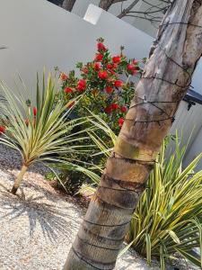 B&B / Chambres d'hotes L'ete indien : photos des chambres