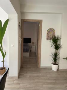 Vacaciones en malaga