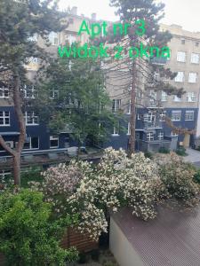 Apartamenty u Portera w Śródmieściu