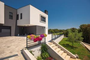 Apartment Angelini 