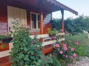 Pensiunea Raluca - Colina