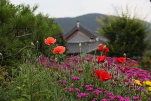 Mirinae Hanok Tradiational House