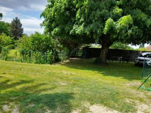 Maisons de vacances Bouczen, la maison familiale pour vos vacances. 10 min du ZOO de beauval. 5 minutes de saint aignan. : photos des chambres