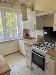 Apartament Wakcyjny przy ulicy Paryzntów