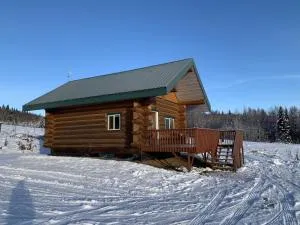 Secluded Log Cabin, 30 min from Chena Hot Springs - Chena Hot Springs