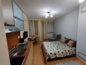 Borovets Villa Park studio